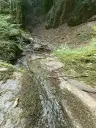 340 m² bosgrond in Cochem - Duitsland