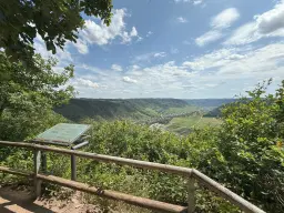 340 m² bosgrond in Cochem - Duitsland
