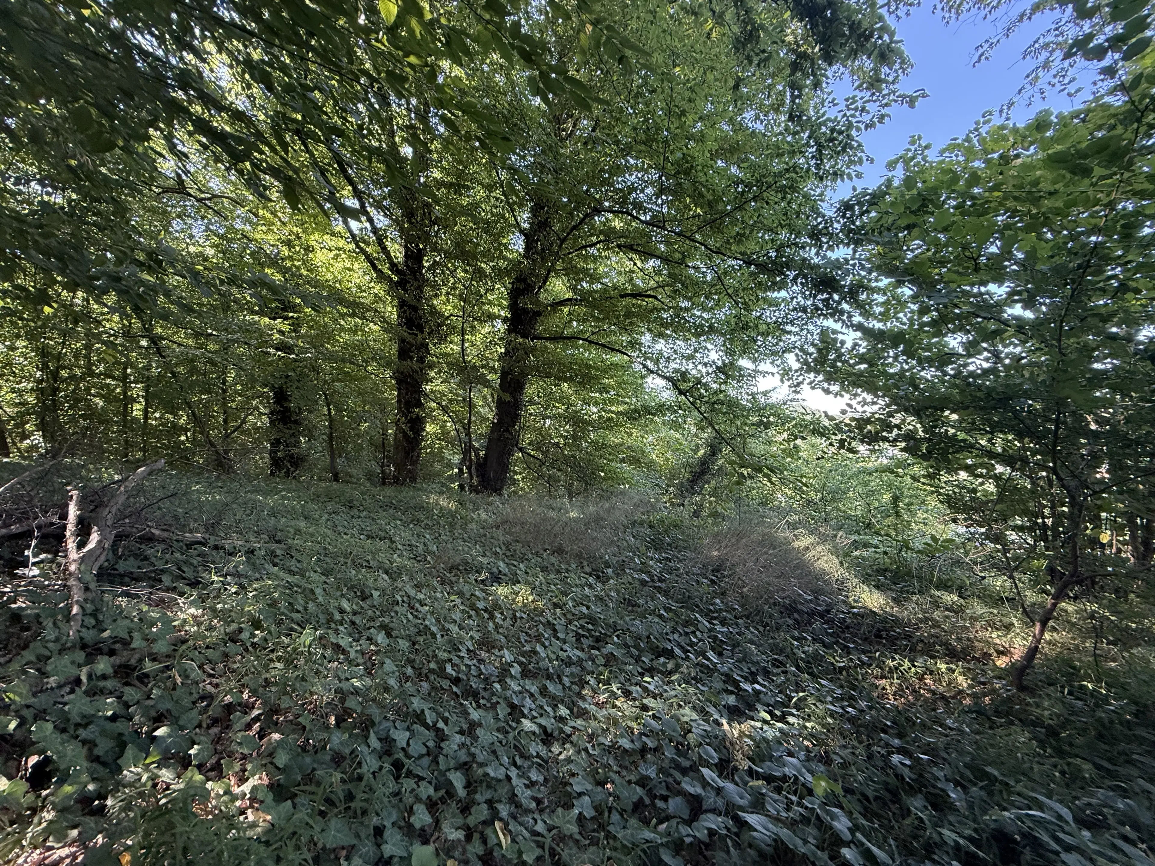 Bijzonder perceel 2.090 m² nabij rivier de Freibergr Mulde - Leisnig - Duitsland