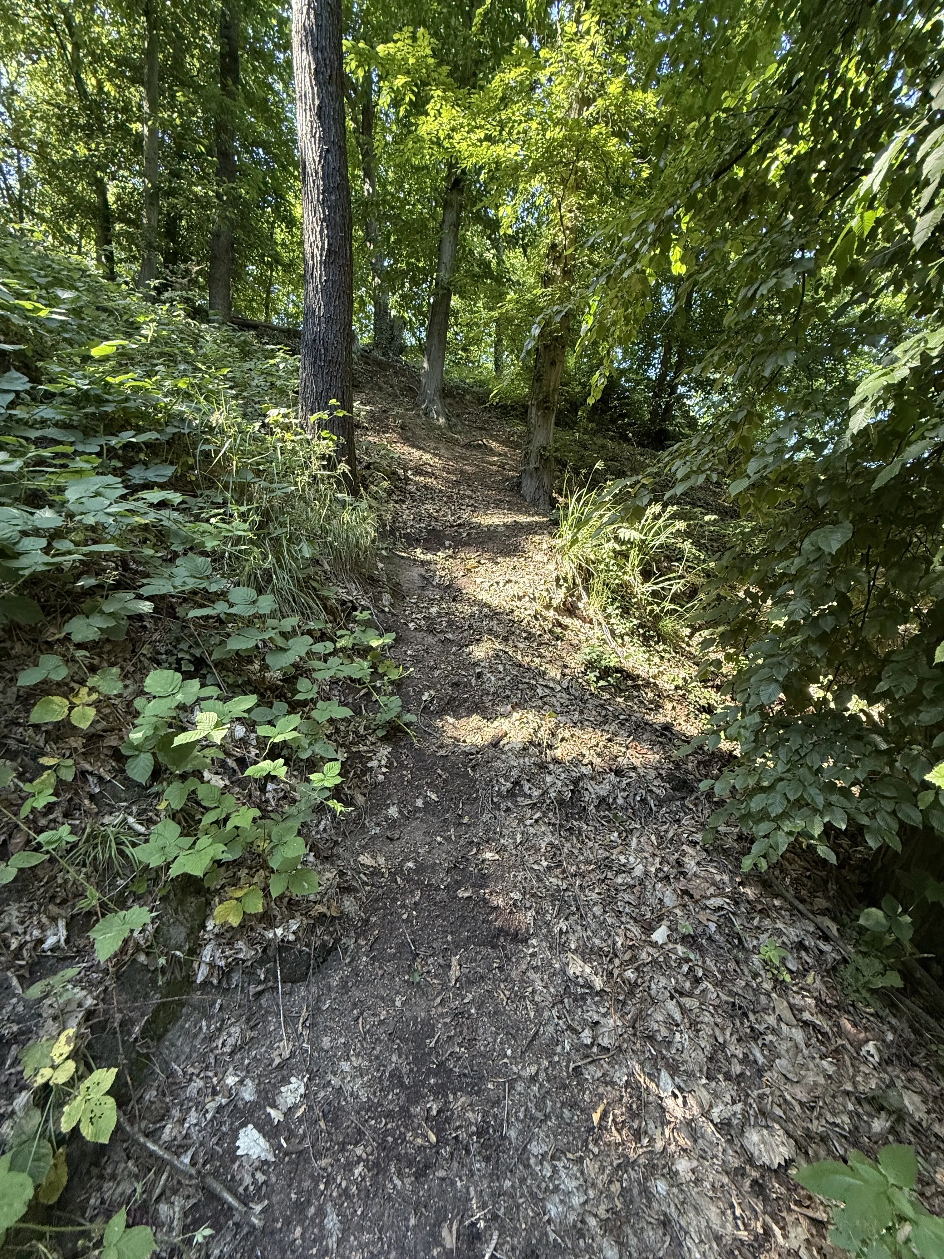 Bijzonder perceel 2.090 m² nabij rivier de Freibergr Mulde - Leisnig - Duitsland