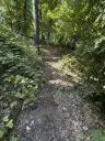 Bijzonder perceel 2.090 m² nabij rivier de Freibergr Mulde - Leisnig - Duitsland