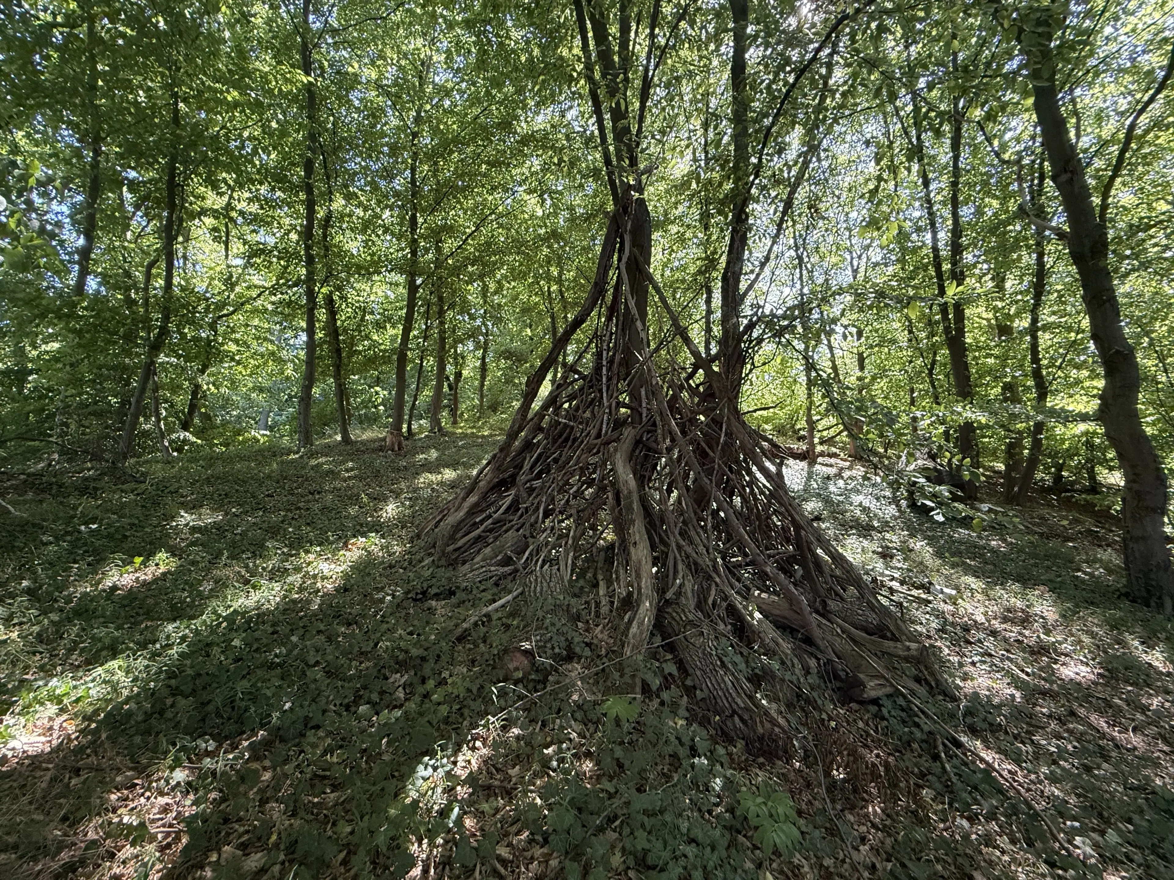 Bijzonder perceel 2.090 m² nabij rivier de Freibergr Mulde - Leisnig - Duitsland