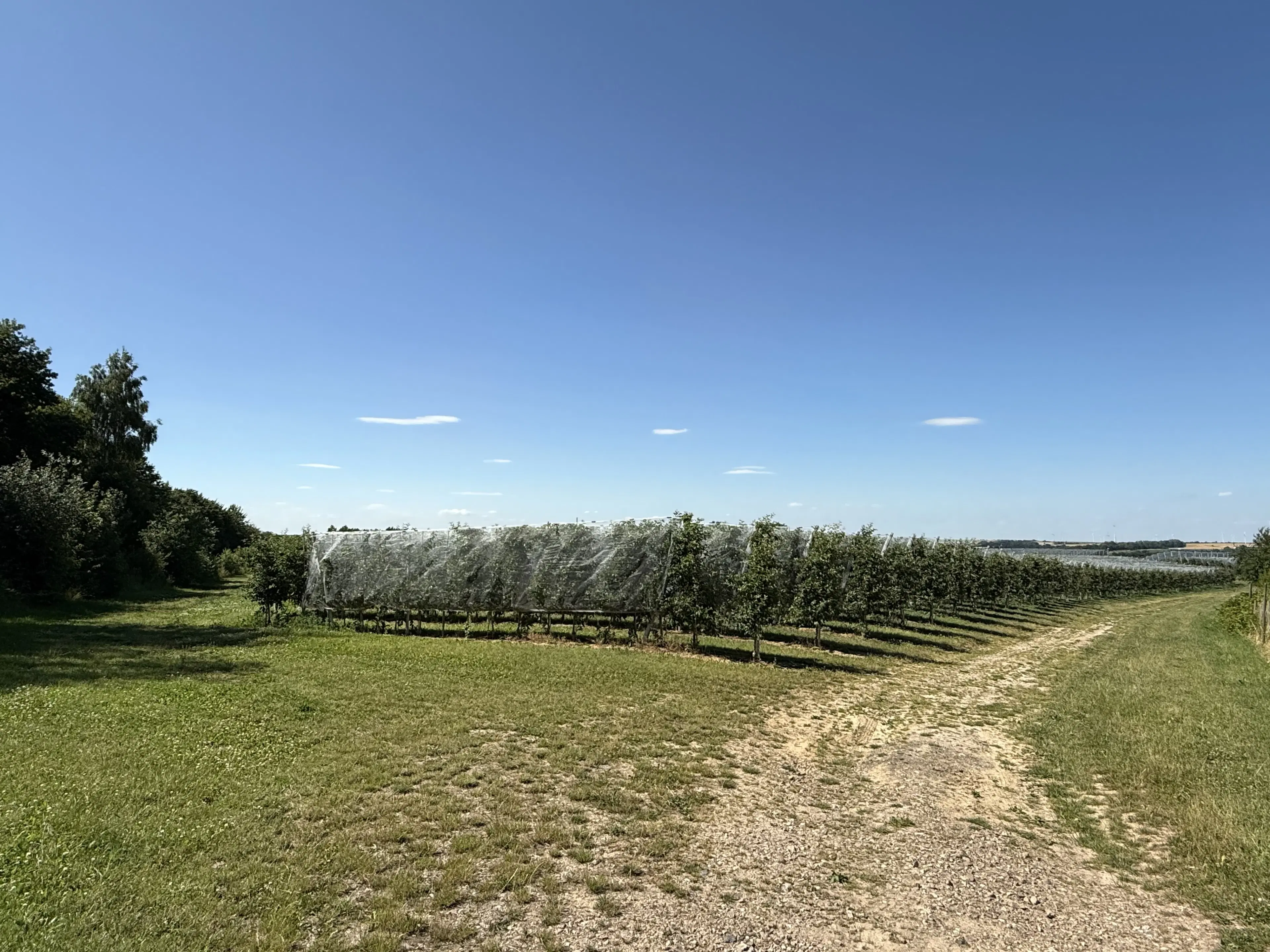 Bijzonder perceel 2.090 m² nabij rivier de Freibergr Mulde - Leisnig - Duitsland