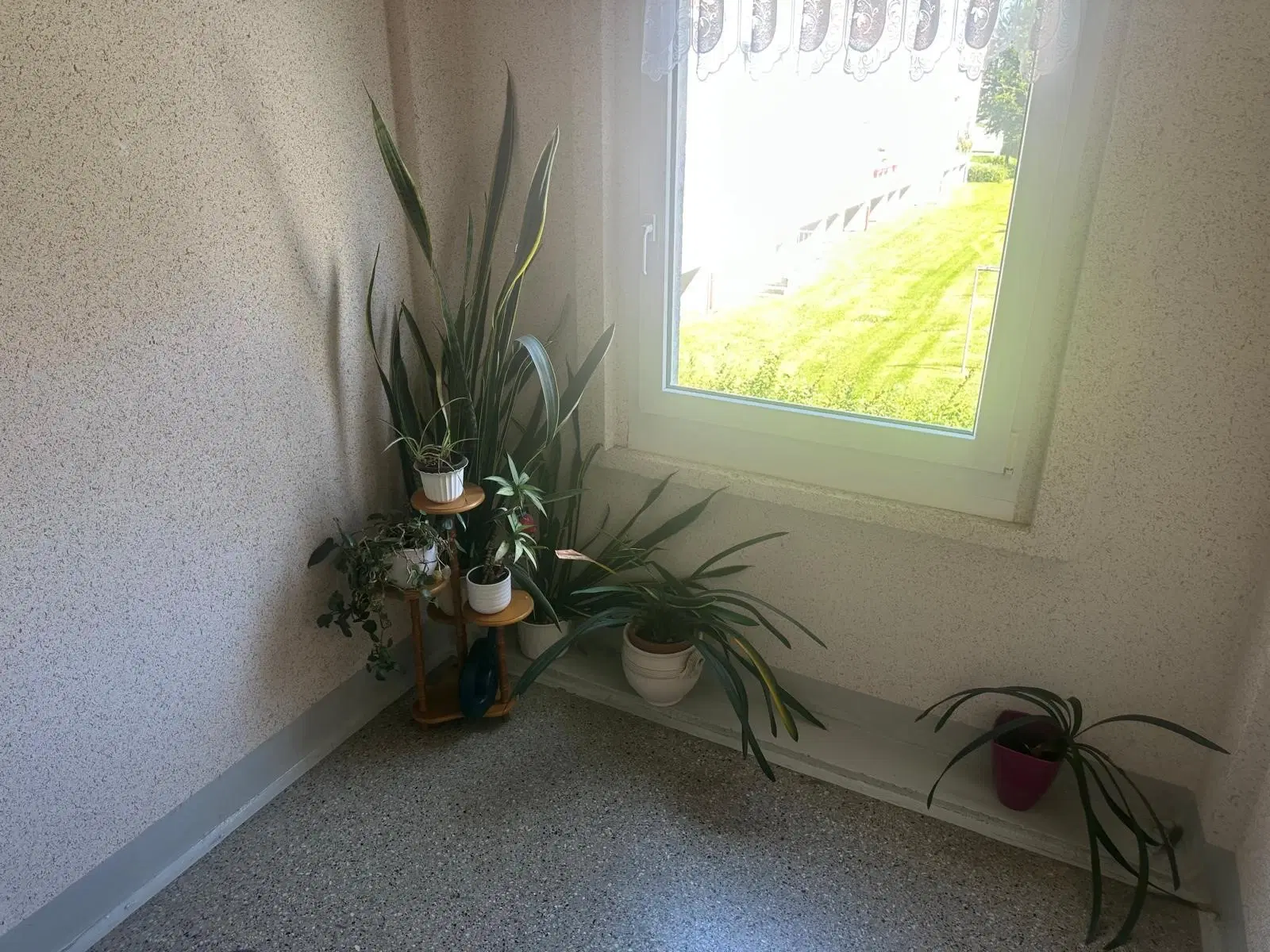 12 Appartementen op perceel van 4.804 m² in Markneukirchen - Duitsland