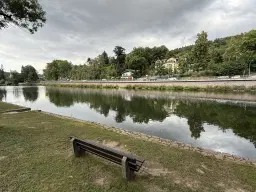 1,5 hectare bosgrond in Waldheim - Duitsland