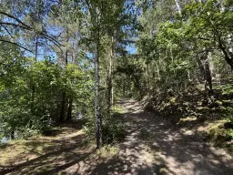 Perceel aan het meer van totaal 472 m² naast Zeulenroda - Duitsland