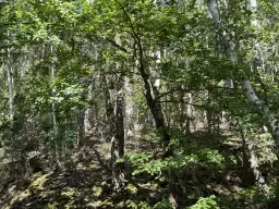 Perceel aan het meer van totaal 472 m² naast Zeulenroda - Duitsland