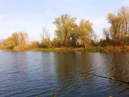 152.460 m² bosgrond in Suhindol, Veliko Tarnovo - Bulgarije