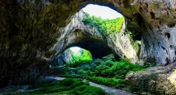 152.460 m² bosgrond in Suhindol, Veliko Tarnovo - Bulgarije