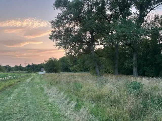 3.076 m² eigendomsperceel nabij Eischleben, Thüringen - Duitsland