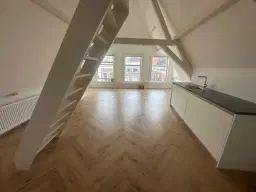 Leiden, Hooigracht 50 50A, 50B en 50C