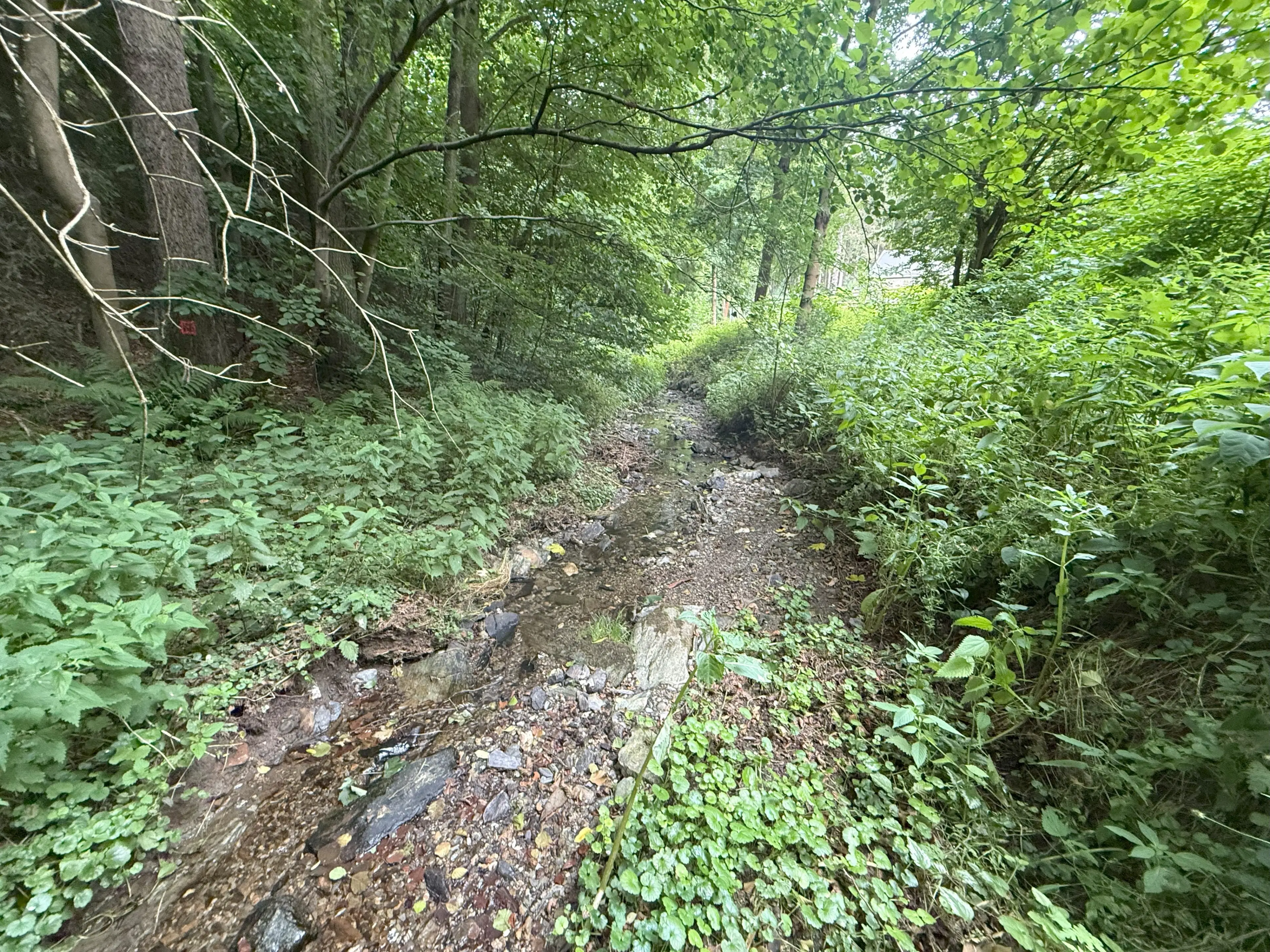 Perceel van 1.429 m² in de natuur van Greiz, Thüringen - Duitsland