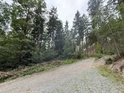 Perceel van 1.429 m² in de natuur van Greiz, Thüringen - Duitsland
