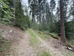 Perceel van 1.429 m² in de natuur van Greiz, Thüringen - Duitsland