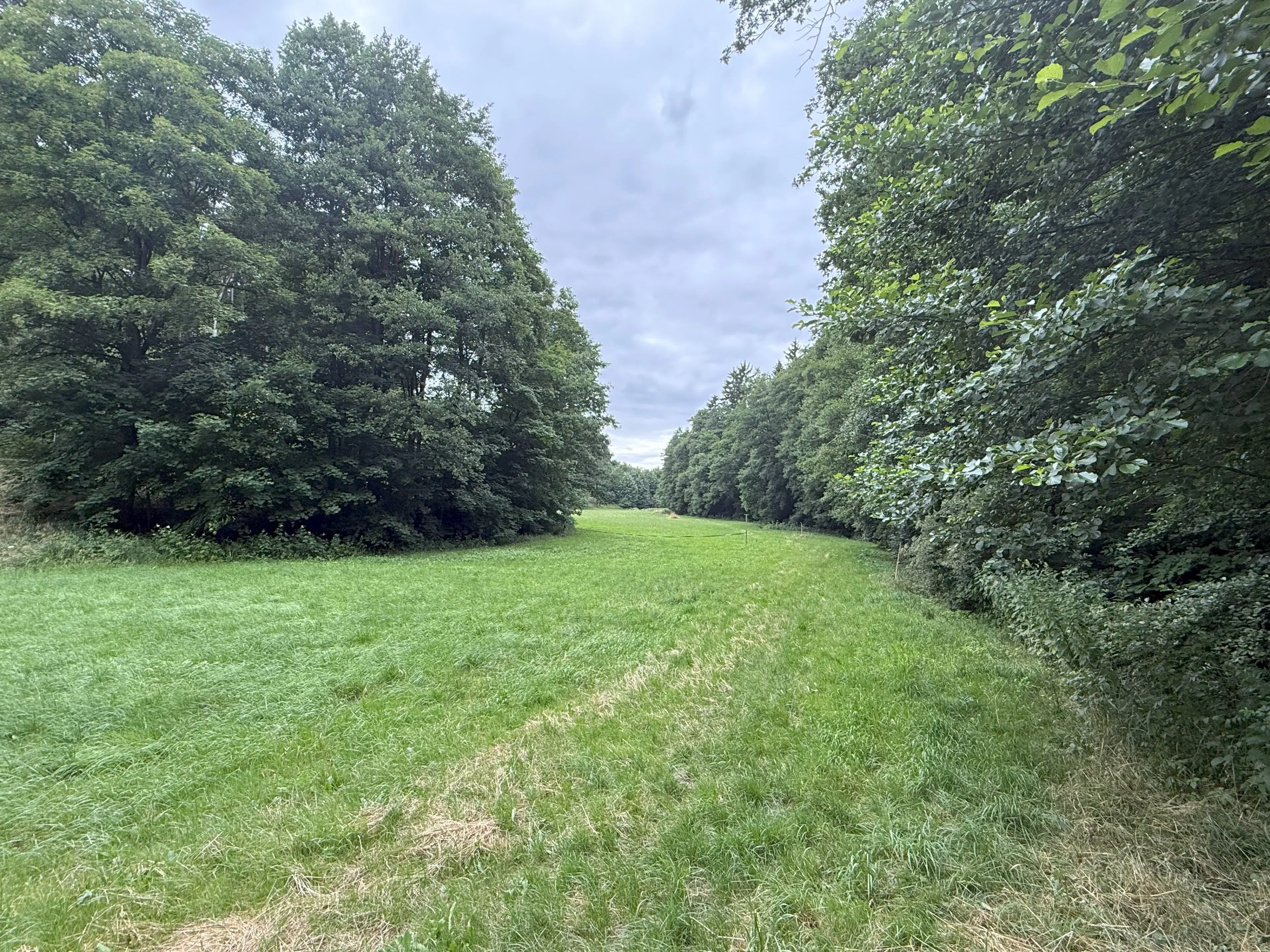 Perceel van 1.429 m² in de natuur van Greiz, Thüringen - Duitsland