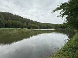 Perceel van 1.429 m² in de natuur van Greiz, Thüringen - Duitsland