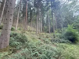 Perceel van 1.429 m² in de natuur van Greiz, Thüringen - Duitsland