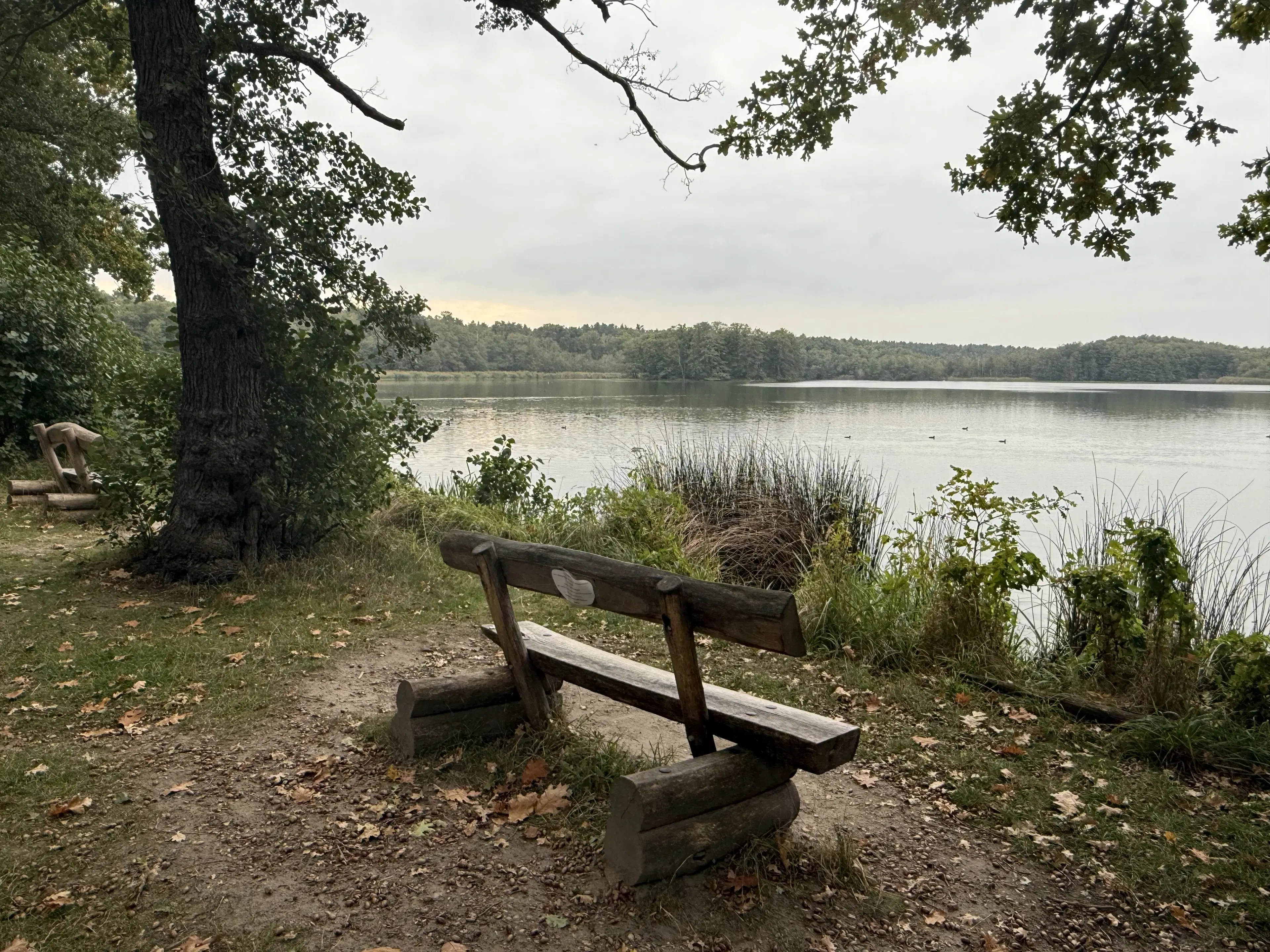 Perceel van 5.183 m² bij het water naast Bad Schmiedeberg - Duitsland
