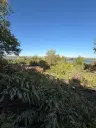 Huis met uitzicht op de rivier de Donau en 449 m² grond in Oryahovo - Bulgarije