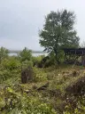 Huis met uitzicht op de rivier de Donau en 449 m² grond in Oryahovo - Bulgarije
