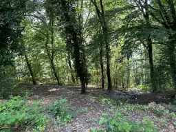 3 percelen van totaal 604 m² in Cochem - Duitsland