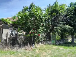 2 huizen op 2.480 m² land en bijgebouwen in Rakovitsa, Vidin - Bulgarije