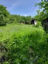 2 huizen op 2.480 m² land en bijgebouwen in Rakovitsa, Vidin - Bulgarije