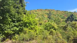 152.460 m² bosgrond in Suhindol, Veliko Tarnovo - Bulgarije