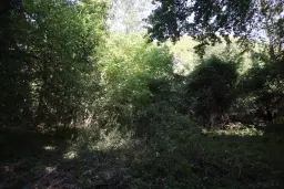 152.460 m² bosgrond in Suhindol, Veliko Tarnovo - Bulgarije