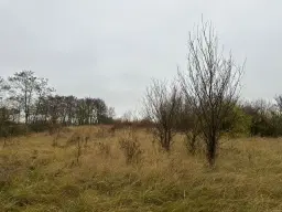 Eigendomsperceel van ca. 3.740 m² -off grid- Niederndodeleben, Maagdenburg - Duitsland