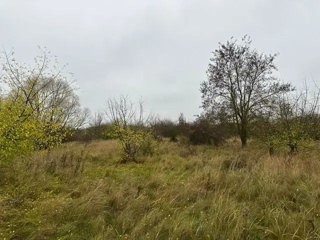 Eigendomsperceel van ca. 3.740 m² -off grid- Niederndodeleben, Maagdenburg - Duitsland