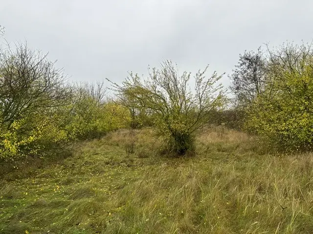 Eigendomsperceel van ca. 3.740 m² -off grid- Niederndodeleben, Maagdenburg - Duitsland