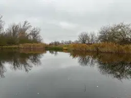 Vrijstaand landhuis met schuur op ca. 1.090 m² eigendomsperceel - Rohndorf, Halle / Leipzig - Duitsland