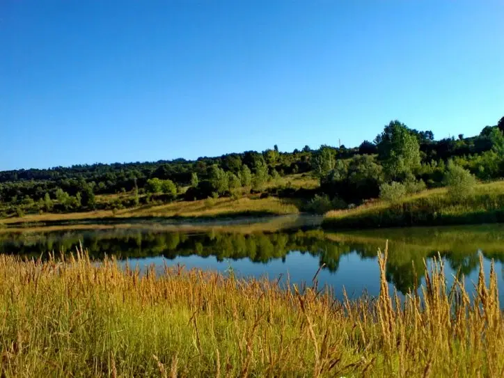 Schilderachtig bosgebied nabij water van 2.600 m² in Poletkovsti, Vidin - Bulgarije