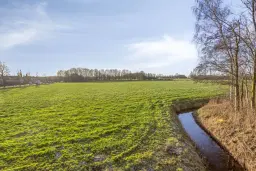 Koarnjum, Skeltedyk 8