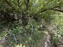 2 percelen van totaal 424 m² naast Cochem centrum - Duitsland