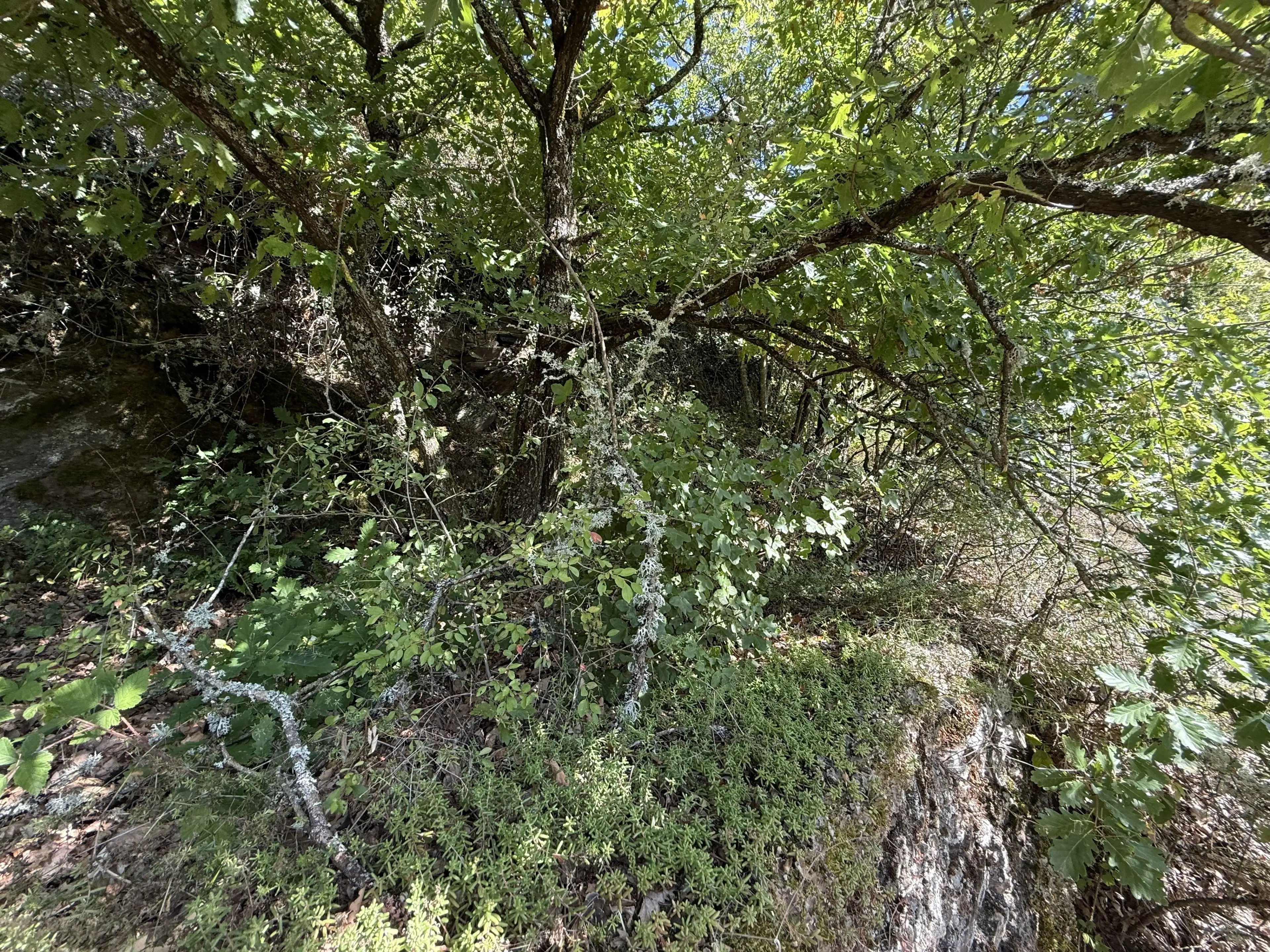 2 percelen van totaal 424 m² naast Cochem centrum - Duitsland