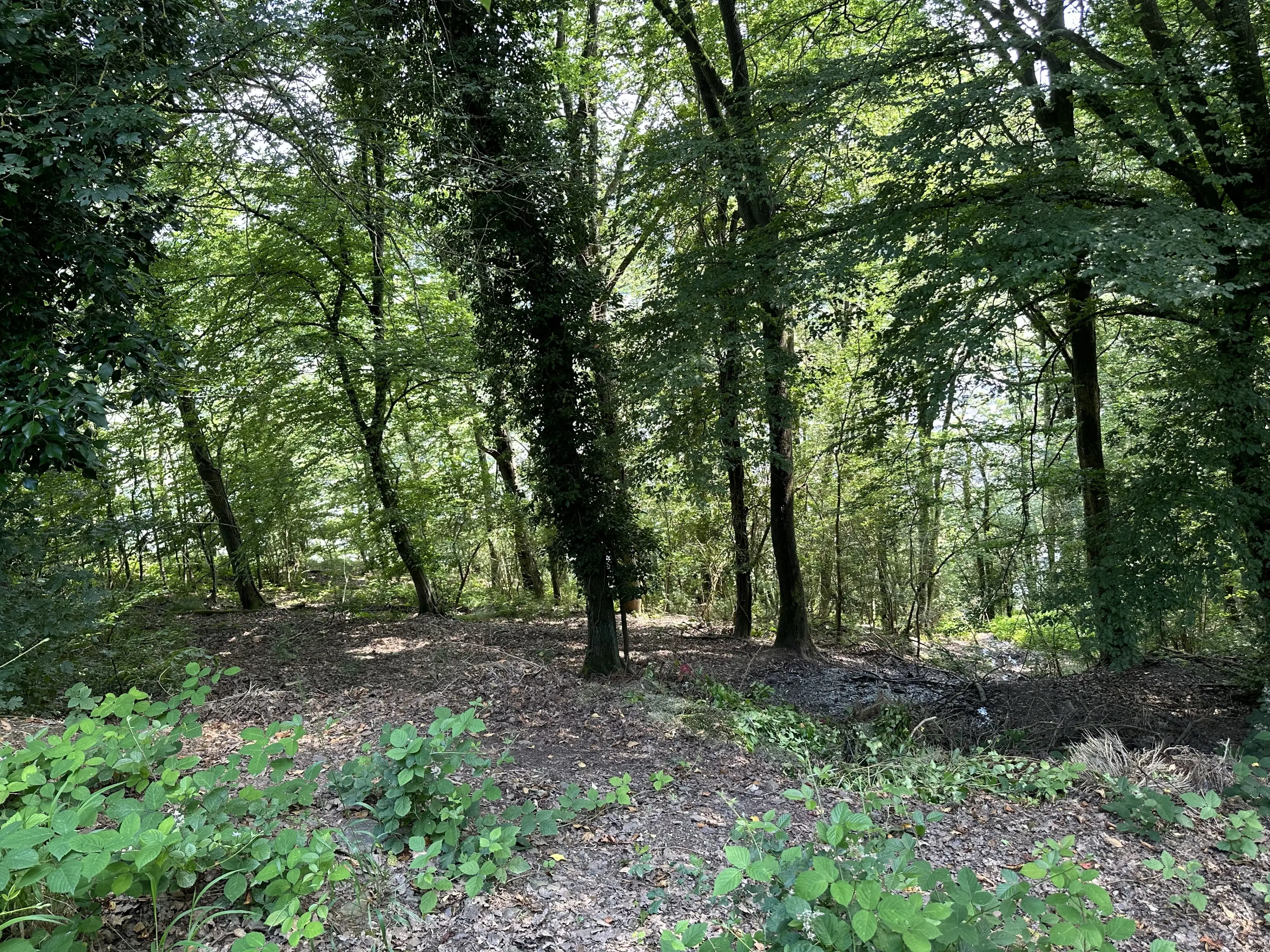 2 percelen van totaal 424 m² naast Cochem centrum - Duitsland