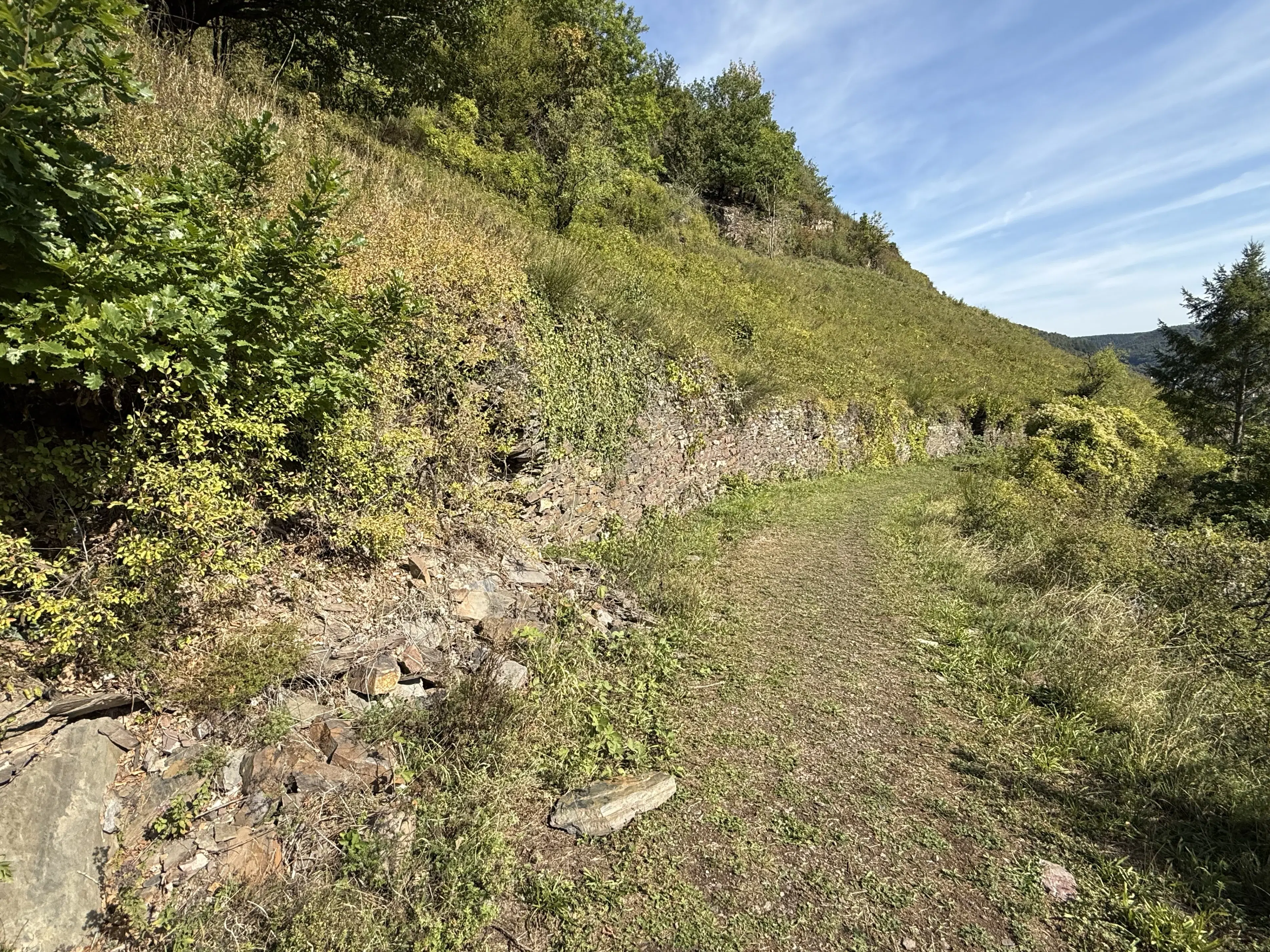 Perceel van 1.165 m² naast Cochem centrum - Duitsland