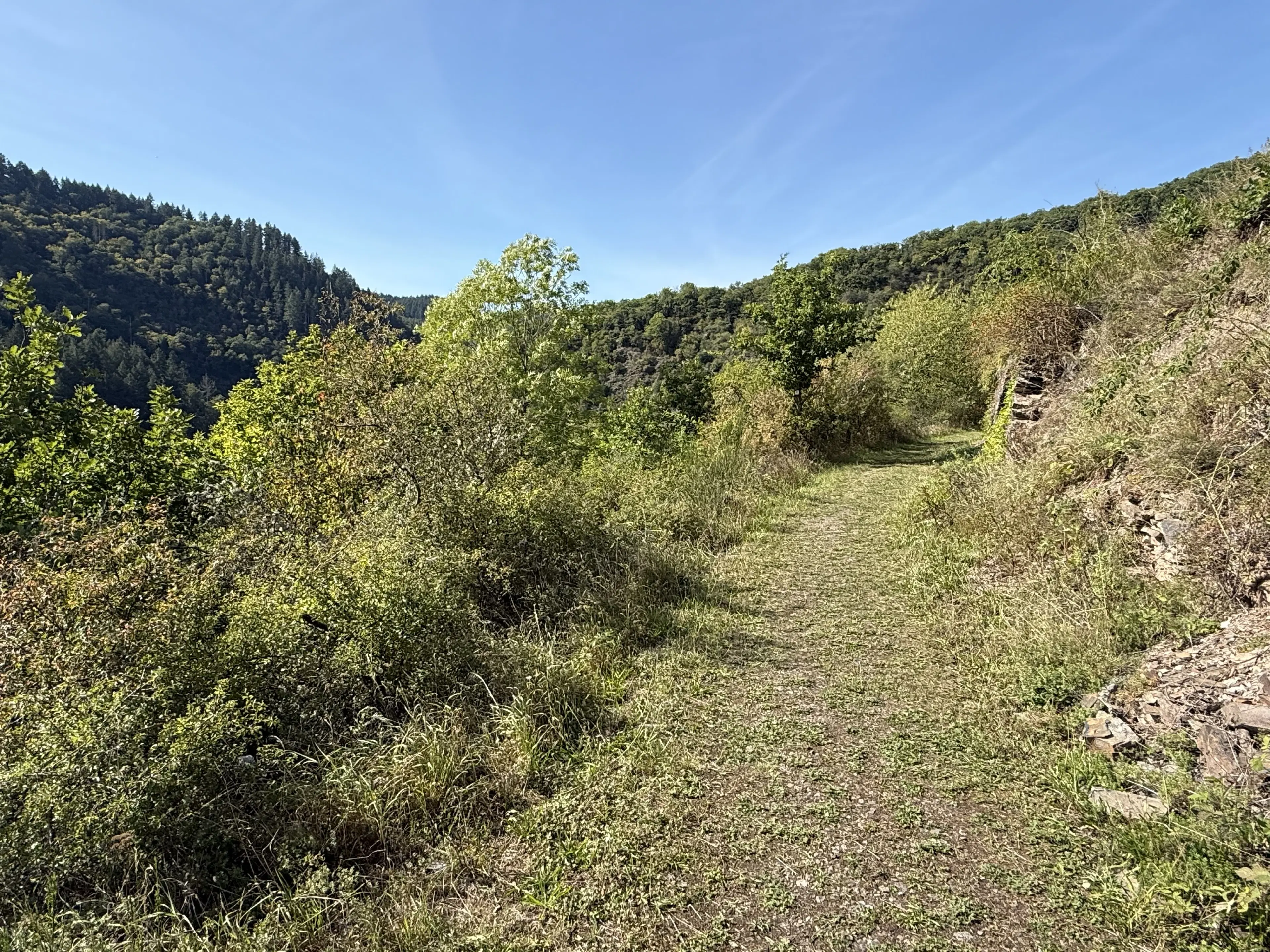 Perceel van 1.165 m² naast Cochem centrum - Duitsland