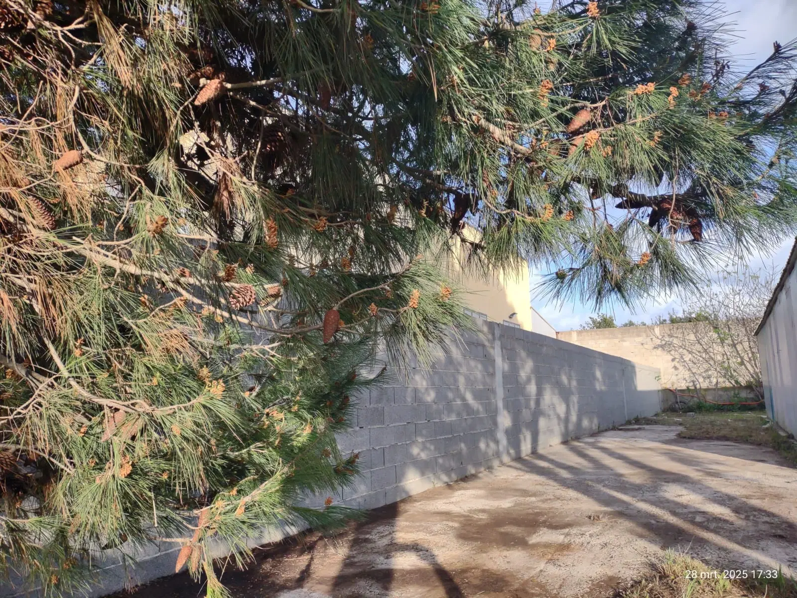 Wegens beëindiging werkzaamheden 1.000 m² industrieel terrein in het havengebied van Porto Torres - Italië