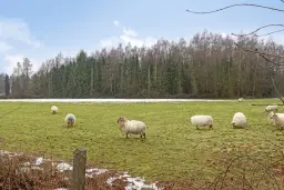 Wenum Wiesel, Zwolseweg 388 AC