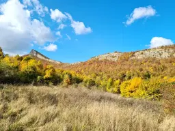 6.513 m² bosgrond in de regio Belogradchik - Bulgarije