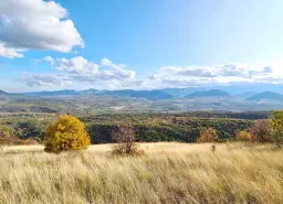 6.513 m² bosgrond in de regio Belogradchik - Bulgarije