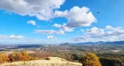 6.513 m² bosgrond in de regio Belogradchik - Bulgarije