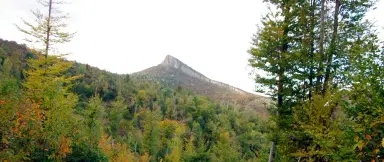 6.513 m² bosgrond in de regio Belogradchik - Bulgarije