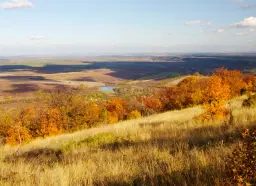 6.513 m² bosgrond in de regio Belogradchik - Bulgarije