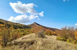 6.513 m² bosgrond in de regio Belogradchik - Bulgarije