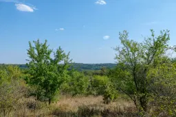 45.863 m² bosgrond in Brankovtsi, Vidin - Bulgarije