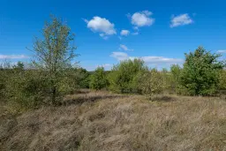 45.863 m² bosgrond in Brankovtsi, Vidin - Bulgarije